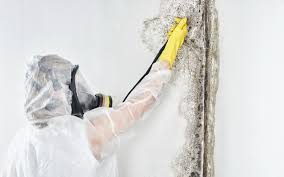 Best Environmental Consulting for Mold Prevention  in Marion Oaks, FL